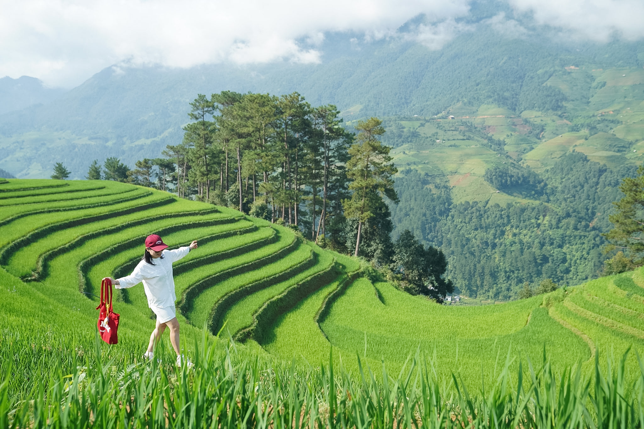 Có nên đến Mù Cang Chải để check in lúa xanh không?