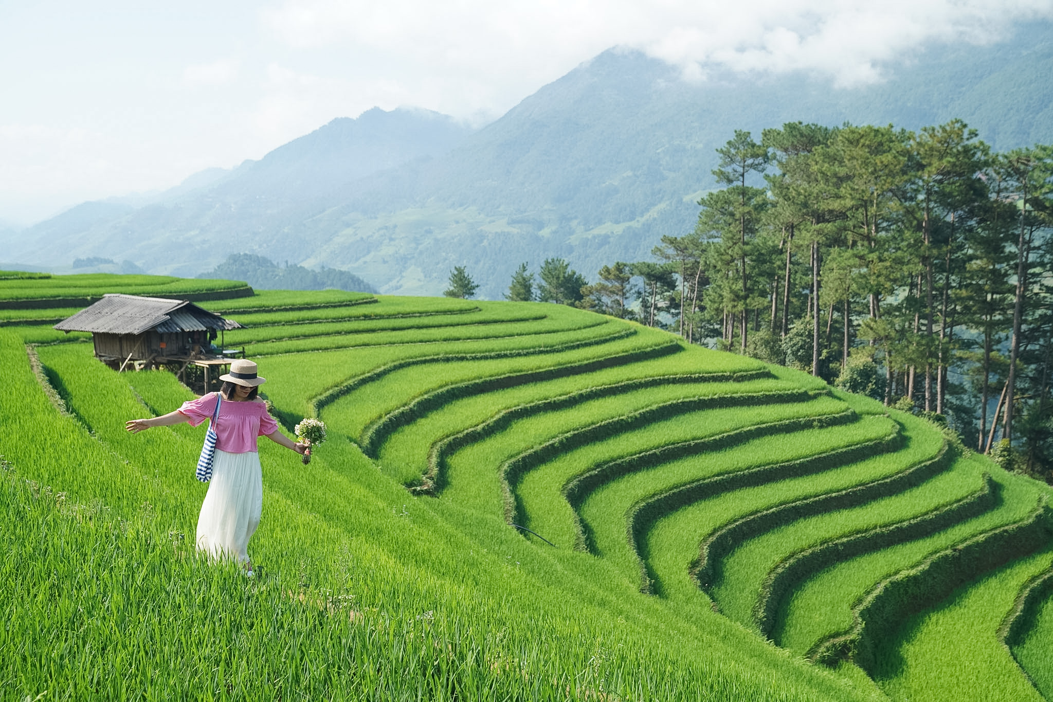 Có nên đến Mù Cang Chải để check in lúa xanh không? - phần 2